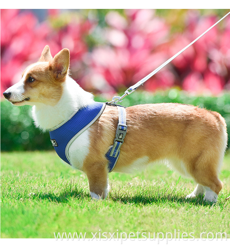 Wholesale OEM Adjustable Dog Harness